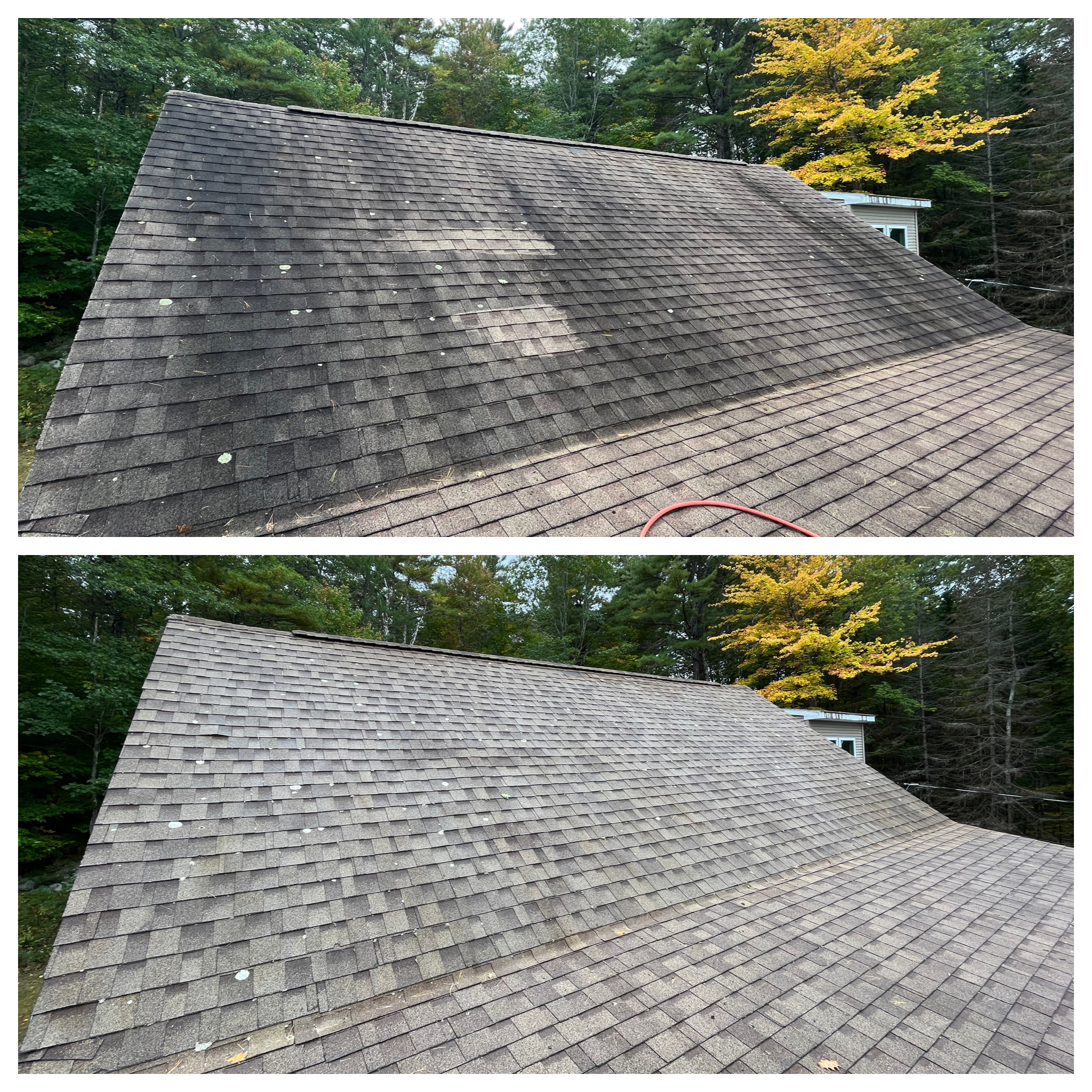 Homeowner Fail: Professional Roof Cleaning in Wolfeboro 